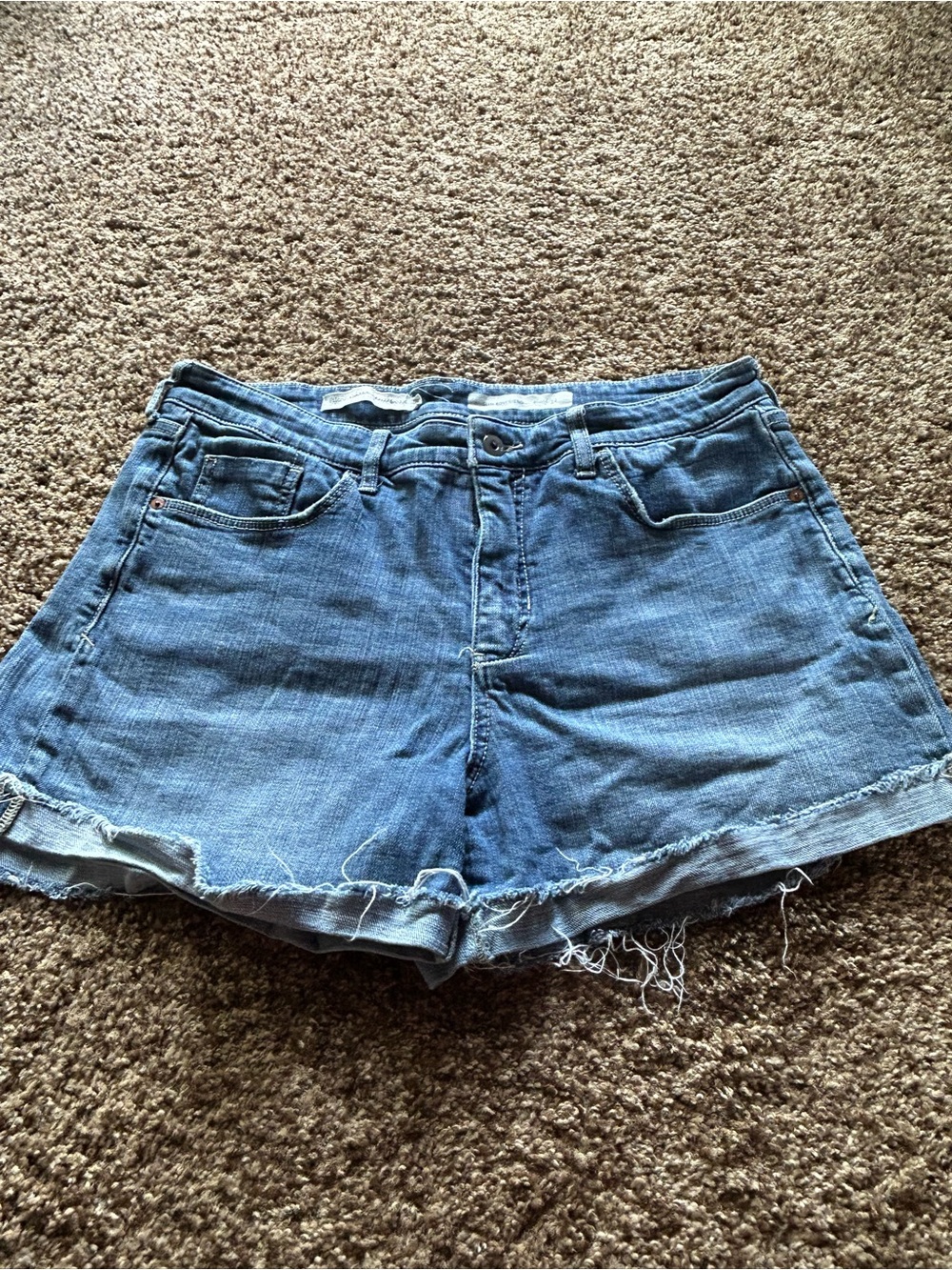 Pilcro Anthropologie Frayed Hem Women's Shorts - Light Blue